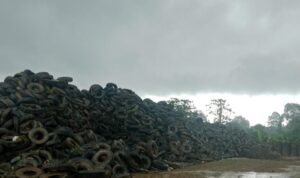 IMG_20261026_223859